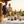White Icons 0.0% – Box degustazione vini bianchi analcolici - Zerogradi