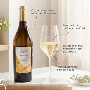 White Icons 0.0% – Box degustazione vini bianchi analcolici