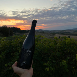 Vino bianco frizzante analcolico 0.0% – WIN.0T Bianco Dry - Zerogradi