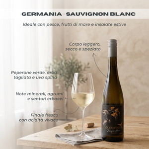Black Label Collection 0.0% - Box Degustazione